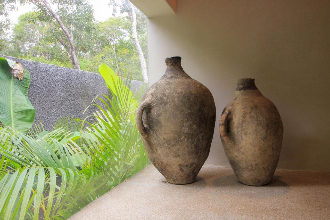 Casa vacanze Elegant Boho Style Jungle Views In Rooftop Deck & Outstanding Raw Pool In Holistika